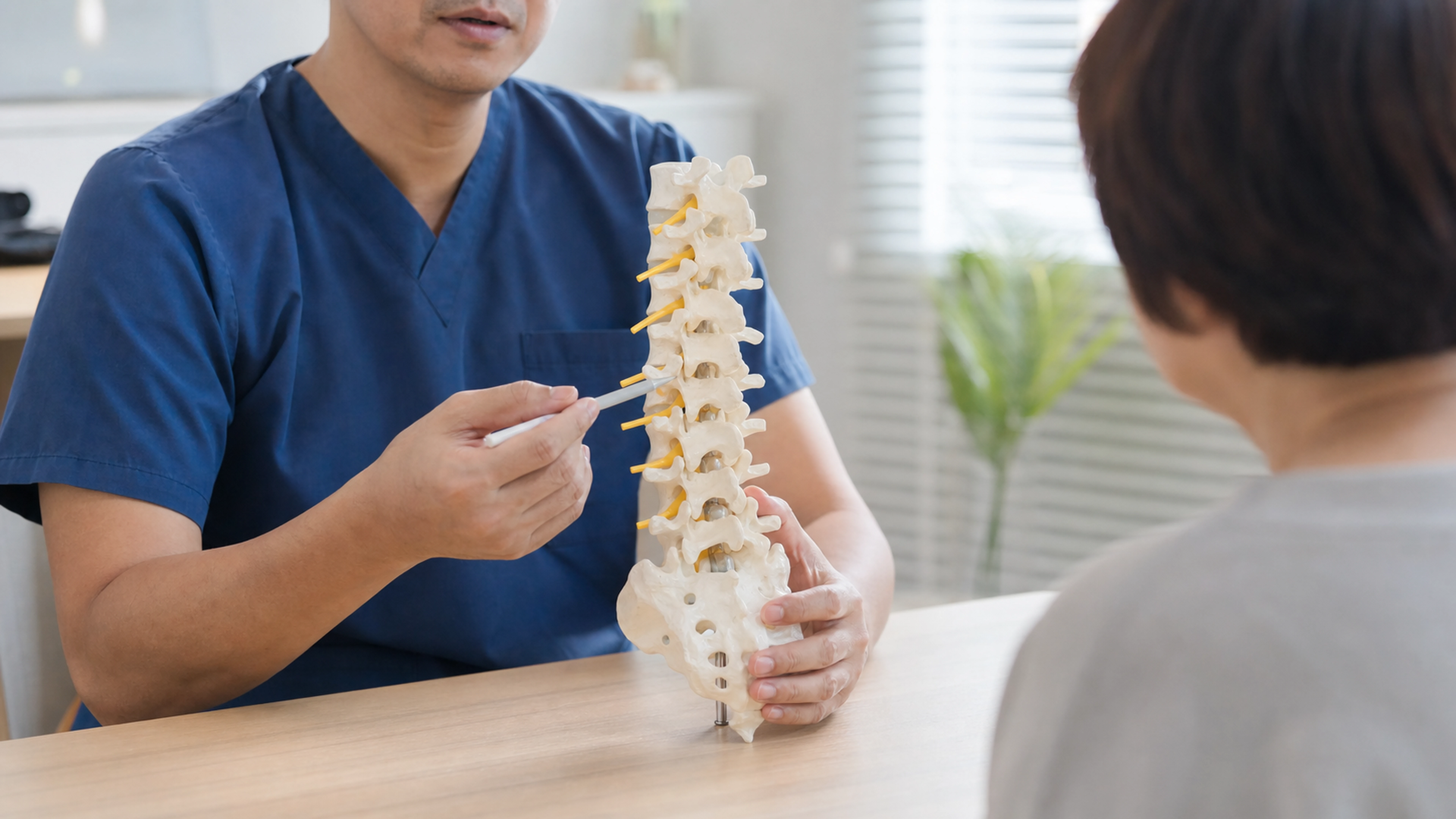 Professionnel de santé expliquant les racines nerveuses sur un modèle de colonne vertébrale